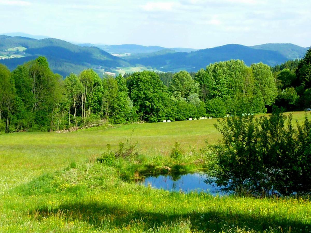 Berggasthof Schoen Patersdorf エクステリア 写真